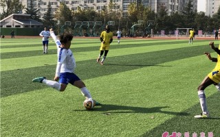 潍坊有职业足球俱乐部吗，潍坊有职业足球俱乐部吗多少钱