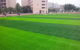 足球场环保草坪去哪买，足球场草坪多少钱一平米